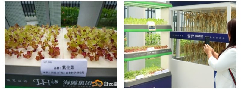 EVO厅·(中国区)视讯官网