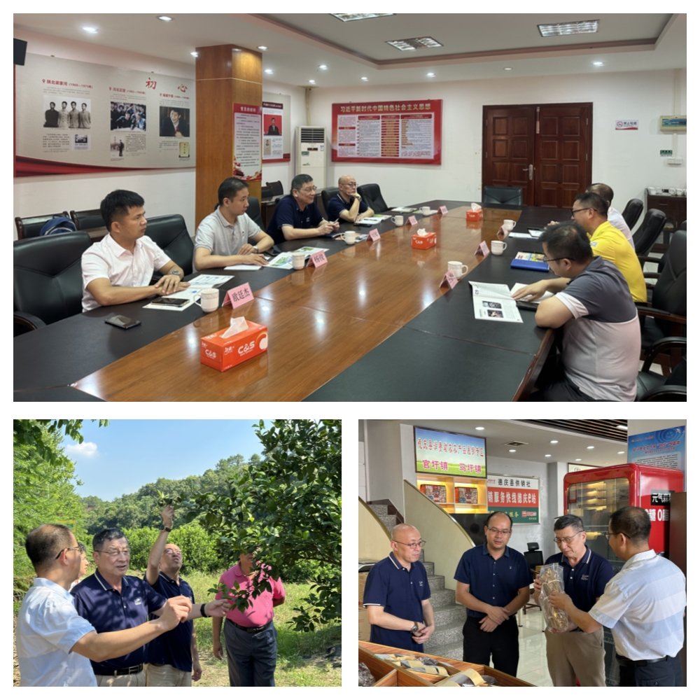 EVO厅·(中国区)视讯官网