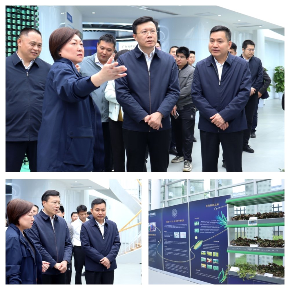 EVO厅·(中国区)视讯官网