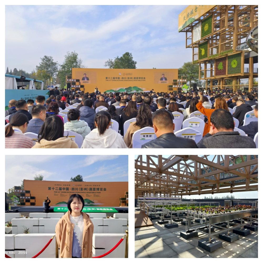 EVO厅·(中国区)视讯官网