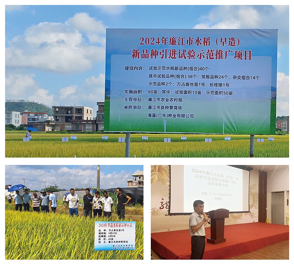 EVO厅·(中国区)视讯官网