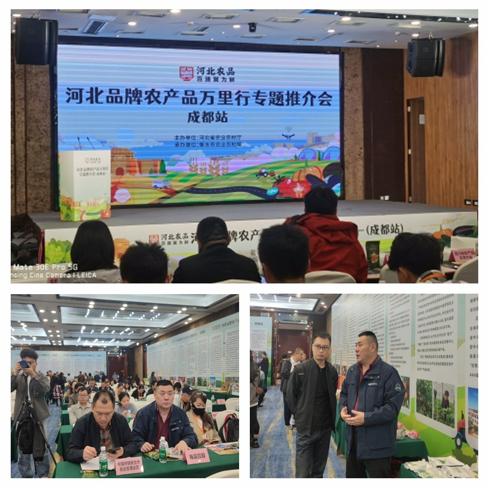 EVO厅·(中国区)视讯官网