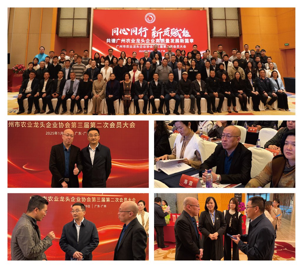 EVO厅·(中国区)视讯官网