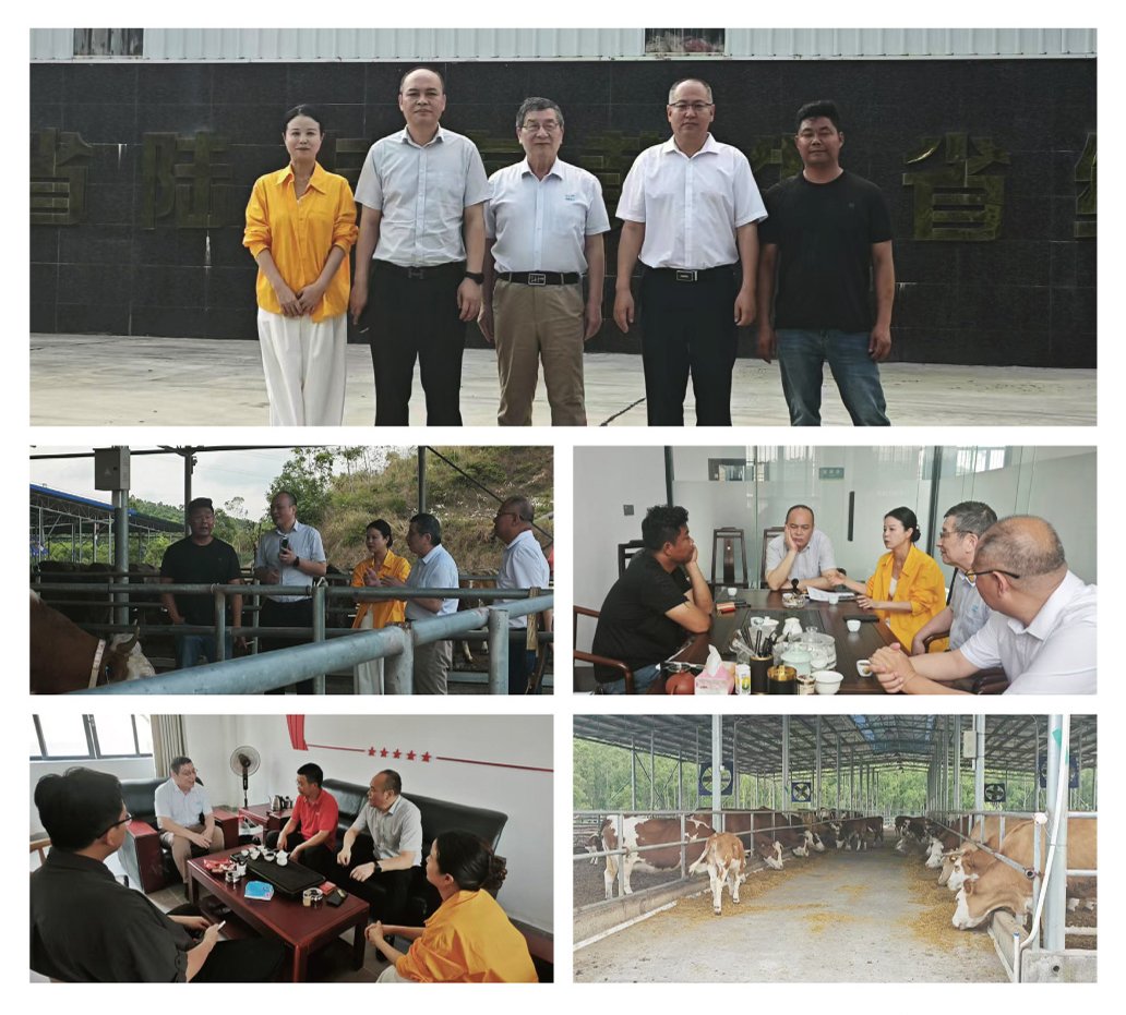 EVO厅·(中国区)视讯官网