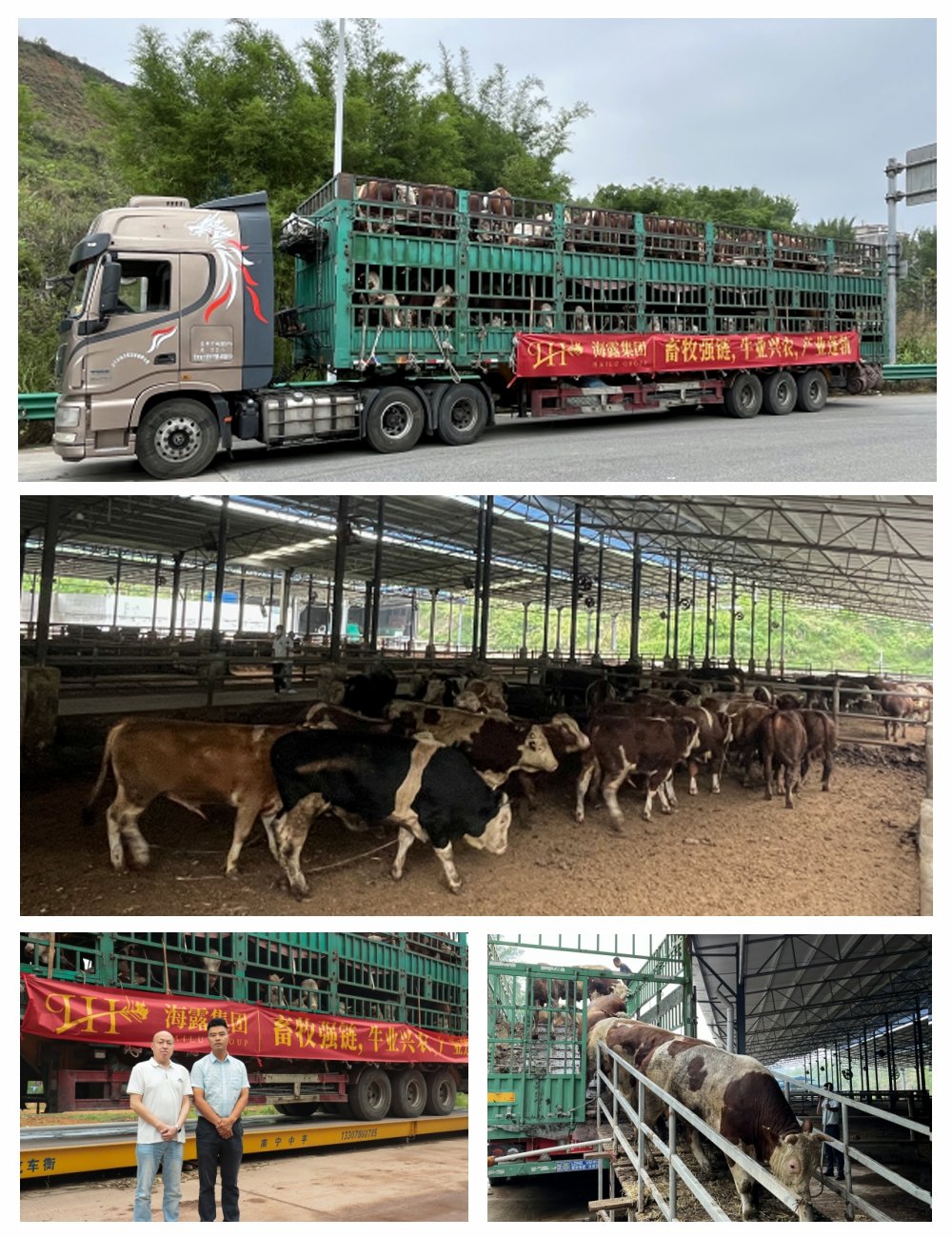 EVO厅·(中国区)视讯官网