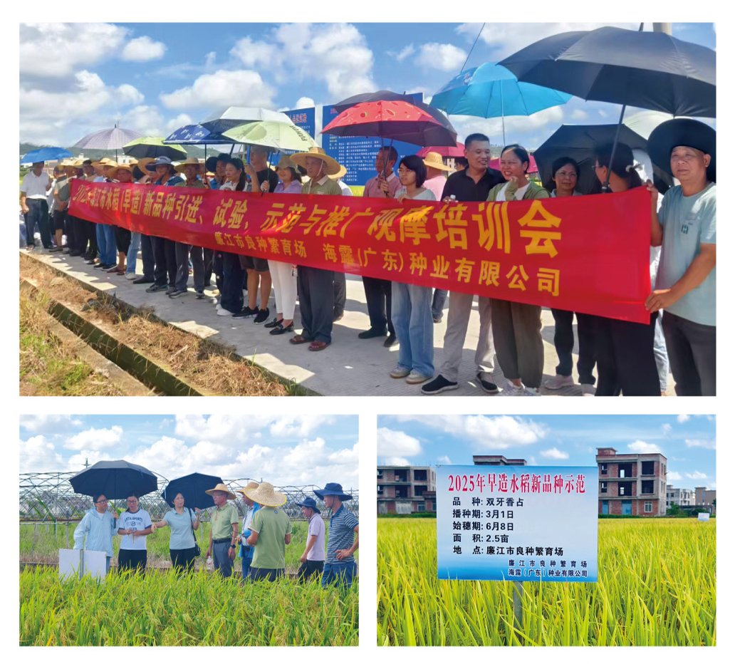 EVO厅·(中国区)视讯官网