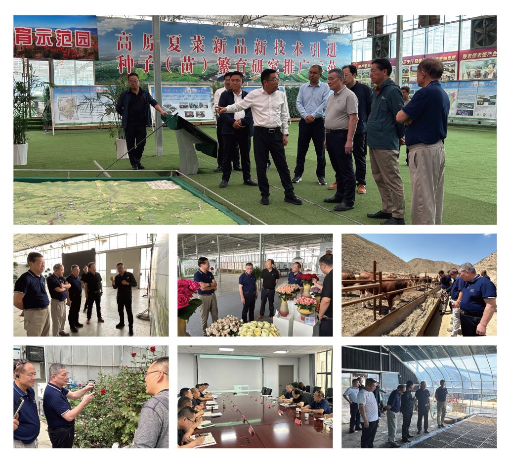 EVO厅·(中国区)视讯官网