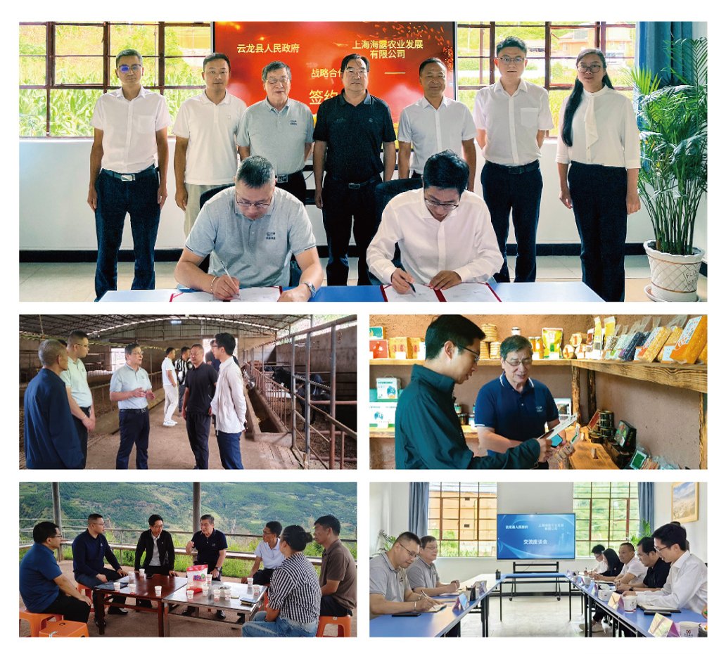 EVO厅·(中国区)视讯官网