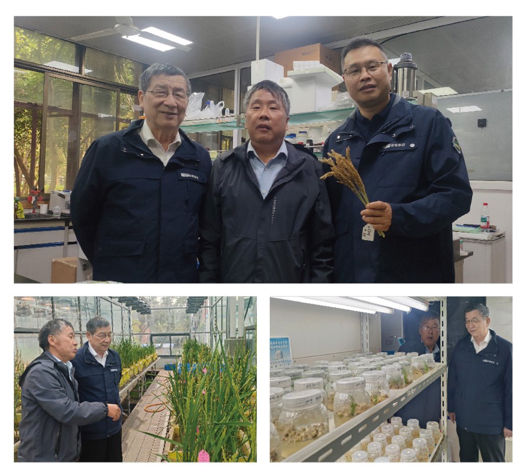 EVO厅·(中国区)视讯官网